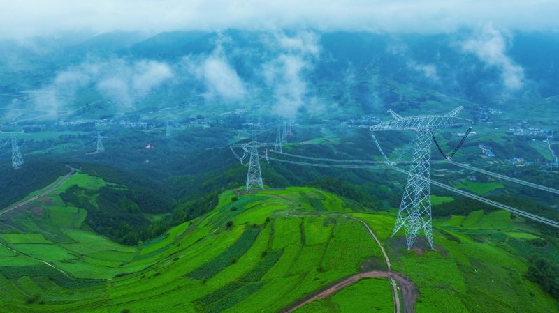 國家電網(wǎng)與東方電氣集團舉行會談